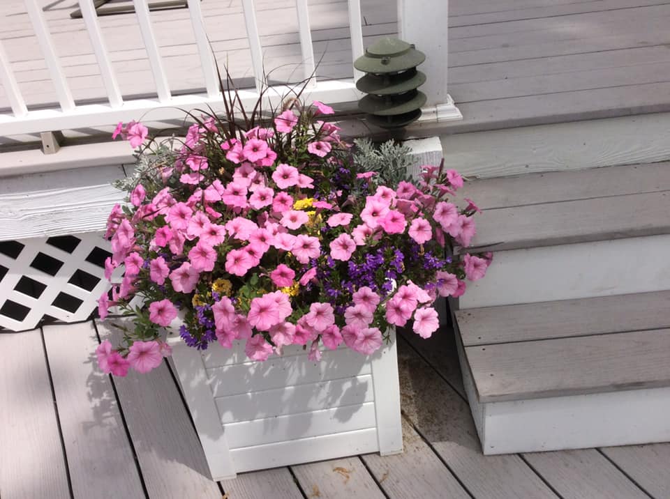 160037088_10218825355680217_5201258128056994423_n